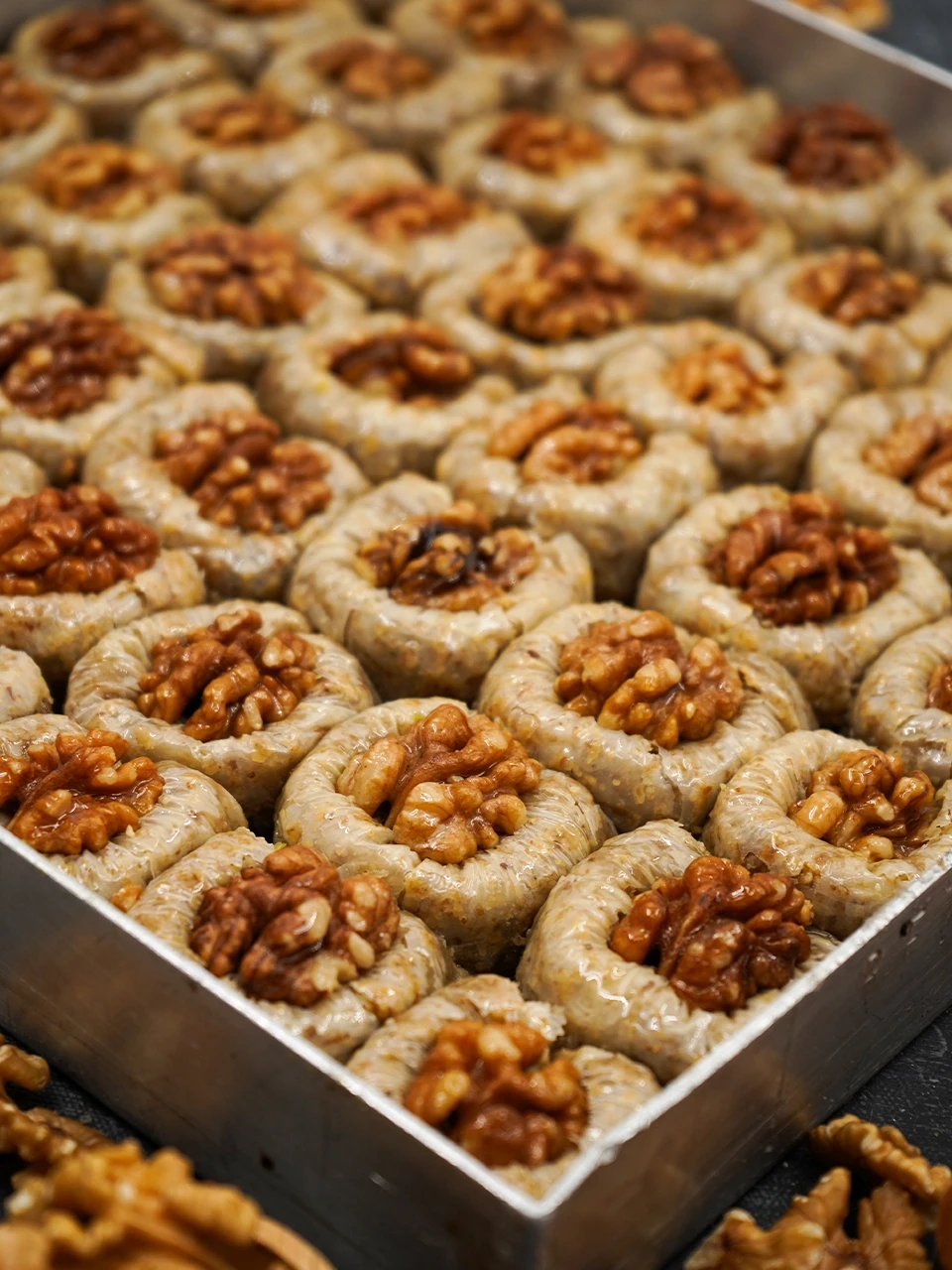 Cevizli Bülbül Yuvası