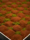 Fıstıklı Soğuk Baklava